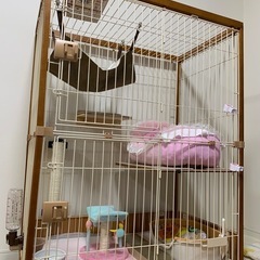 【売却済】⭐︎新品同様⭐︎　ieneko2段 ケージ