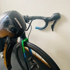 近々削除予定　TREK　Domane（ドマーネ）SL 5 DISCの画像