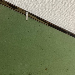 絵画　金子國義　不思議な国のアリス　サイン入りの画像