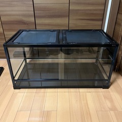 レプティワイルド パンテオン BK 9045 ［直接取引希望］愛知県の画像