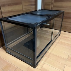 レプティワイルド パンテオン BK 9045 ［直接取引希望］愛知県の画像