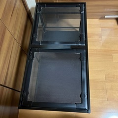 レプティワイルド パンテオン BK 9045 ［直接取引希望］愛知県の画像
