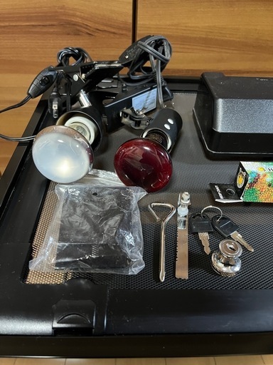 レプティワイルド パンテオン BK 9045 ［直接取引希望］愛知県