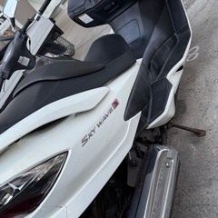 スカイウェイブ250の画像