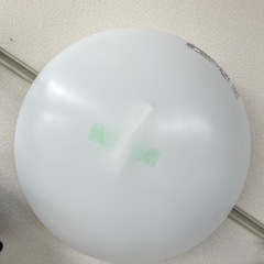 完売致しました。🌻2024年12月30日まで年末セール🌻  🉐L...