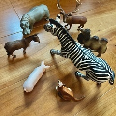 動物のフィギュア