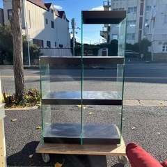 棚　シェルフ　ディスプレイラック　ガラス　ブラック　黒　フィギュ...