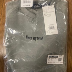 AZUL BY MOUSSY 裏起毛スウェット（グレー）Mサイズ 新品未使用の画像