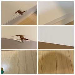 床や建具の傷補修します - 地元のお店
