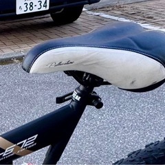 MYPALLS自転車の画像