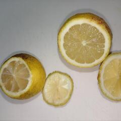 【取引中】レモンと柚子の画像