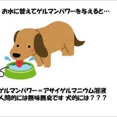 ワンちゃんがお利口さんになる健康食品です「ゲルマンパワー」