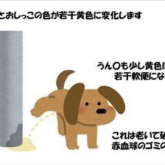 ワンちゃんがお利口さんになる健康食品です「ゲルマンパワー」 - ペット