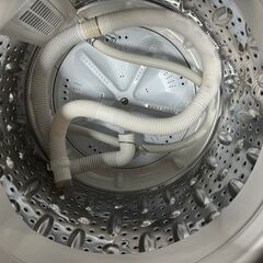 今だけお買い得 ディスカスとエンジェル【美品】大阪送料無料☆3