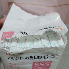 ペットの紙おむつの画像