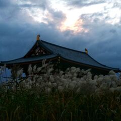 外人と写真を撮りませんか。