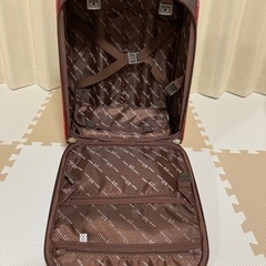 ソフトキャリーケース　アツキオオニシ製品　1人用の画像