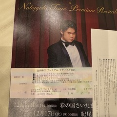 12/11辻井伸行コンサートチケット