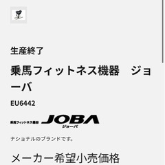 乗馬フィットネス機器（専用マット付き）の画像