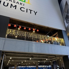 (日払い)明後日12月12日スタジアムシティイルミネーション取付け作業