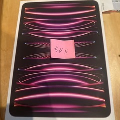 ✴️なな様✴️【超美品・純正ケース付】iPadPro11インチ ...