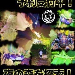 【年内最後のナイトツアー！】夜の森を散策！！暗闇を楽しもう！