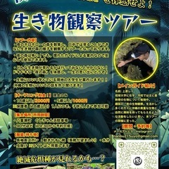 【年内最後のナイトツアー！】夜の森を散策！！暗闇を楽しもう！ - 島尻郡