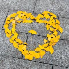 一緒に楽しい時間を過ごす仲間を探しています🌸