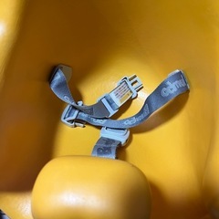 バンボ　の画像