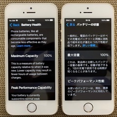 iPhone SE 初代 シルバー
（バッテリー最大容量100%）の画像
