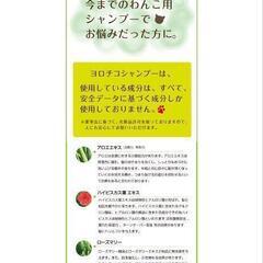 犬用　ヨロチコシャンプー