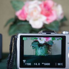 PENTAX　Q10　　＋標準レンズ　充電器と電池ありの画像
