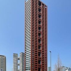 🏡🐶🐈小型犬・猫飼育相談可　駐車場1台無料　分譲賃貸タワーマンシ...