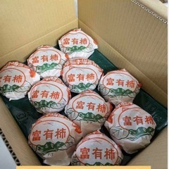 【秀品・L・20個★贈答用・化粧箱入】岐阜県産★富有柿★産地直送★