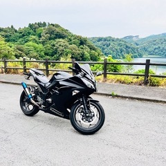 Ninja250