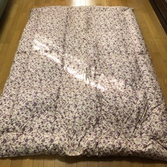 丸八真綿の中古が安い!激安で譲ります・無料であげます|ジモティー 丸八真綿の中古が安い!激安で譲ります・無料であげます|ジモティー