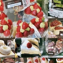 １２月１４日(土)17時〜18時プチ半Xmas🎄会