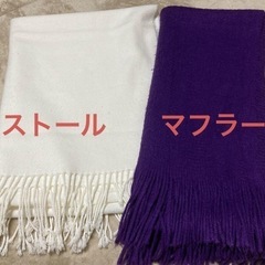 紫　マフラー１枚