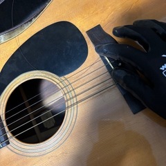 Aria Dreadnought 6弦ギターの画像