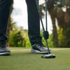 海外購入 パッディングフォーム養成 True Pendulum Motionの画像