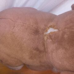 サンタとトナカイのぬいぐるみの画像