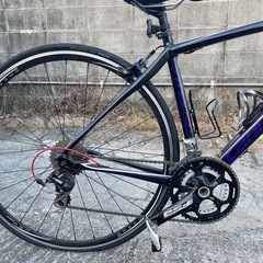 キャノンデールの画像