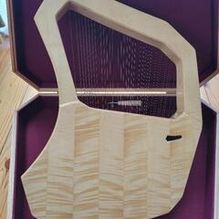 コロイ　ライアー35弦の画像