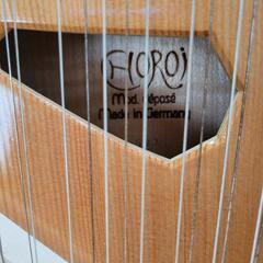 コロイ　ライアー35弦の画像