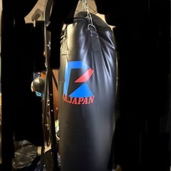 ファイティングロード サンドバッグ
の画像