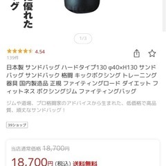 ファイティングロード サンドバッグ
の画像