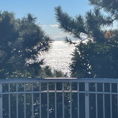 茅ヶ崎海岸でビーチクリーンボランティア募集