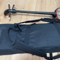 三線 本体 ヘビ皮 片面張り ケース付きの画像