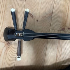 三線 本体 ヘビ皮 片面張り ケース付きの画像