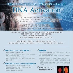 DNAアクティベーション、フルセッションご予約受付中 - 地域/お祭り